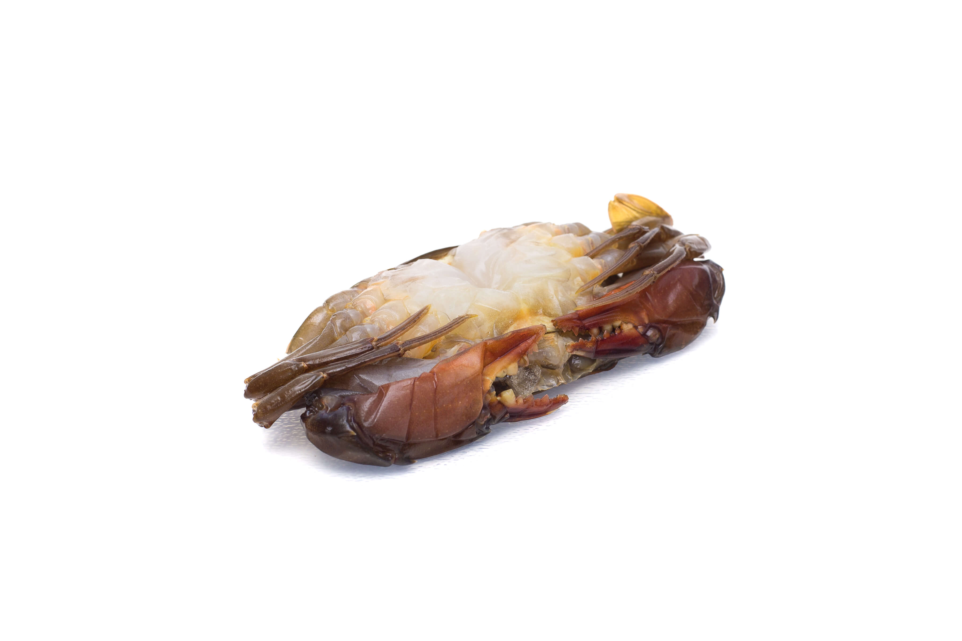 Soft shell crab supplier