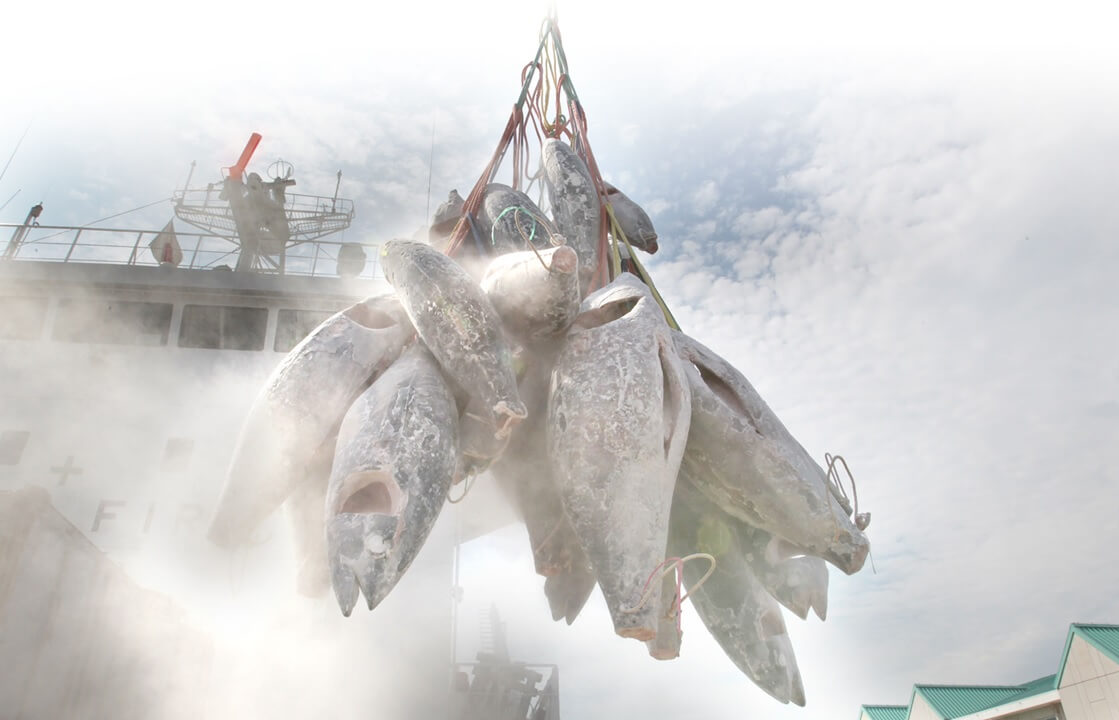 Tuna exporter